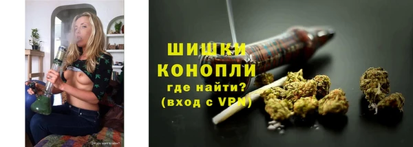 ECSTASY Богданович