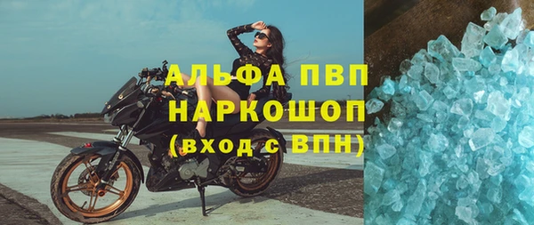 ECSTASY Богданович