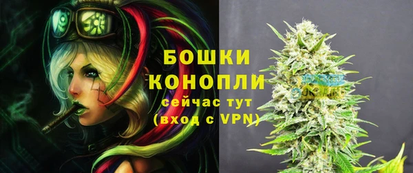 тгк Пересвет