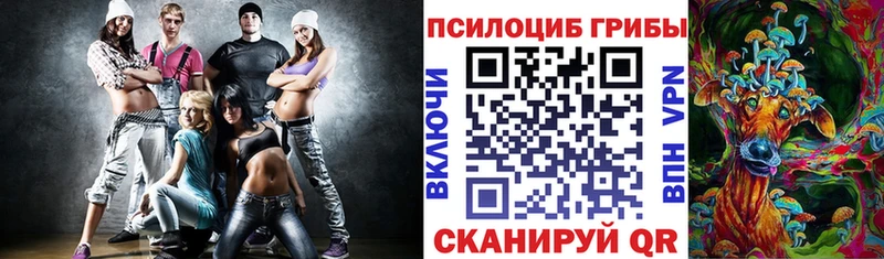 наркошоп Болгар Псилоцибиновые грибы мицелий